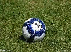 科技融情全,运盛会,带你感受第,开云体育,开云体育官网,开云体育app,开云体育平台,KAIYUN,SPORTS,kaiyun登录入口