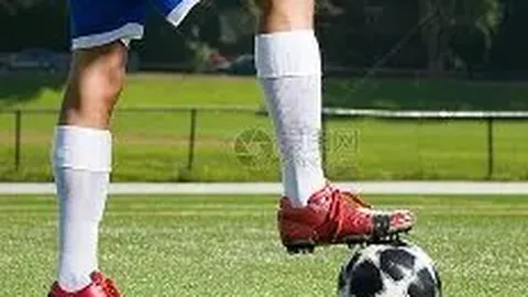 开云平台官方网皇马赞助商 产品 102047 gsa