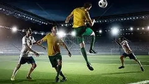 开云平台官方网皇马赞助商 资讯 115702 bsf