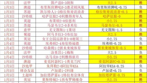 开云平台官方网皇马赞助商 产品 100230 o19