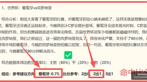 开云平台官方网皇马赞助商 120958 9